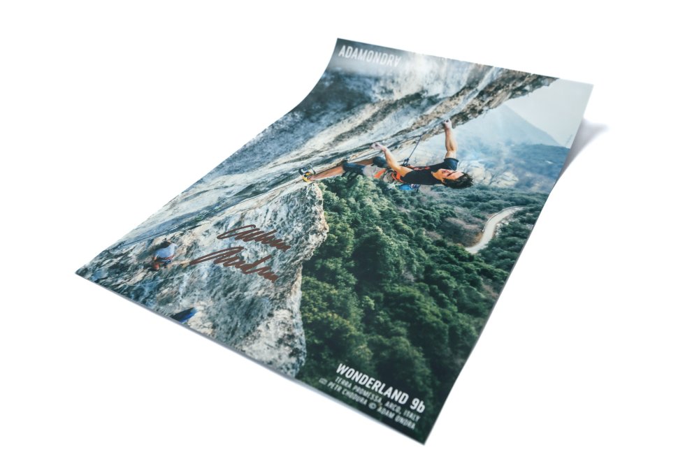 Limited Package of AO Photo Book + Signed A3 Poster - Signed Poster: Tango To Nik 8c+