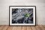 Viejo Reculiao - Print format: Medium (800 mm longer side), Print with signature: Signed by Adam, Download format: Small (2000 px longer side)