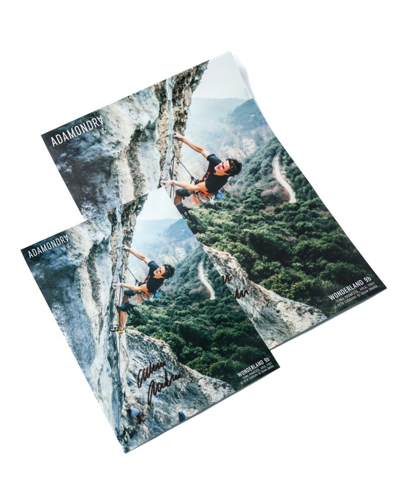 Wonderland 9b Signed Poster - Size: A2 - 42 x 59.4 cm (16.5 x 23.4 in)