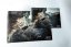 Narcissus 9a Poster Hand-signed by Adam Ondra - Size: A2 - 42 x 59.4 cm (16.5 x 23.4 in)