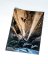 Bon Voyage 9a Poster Hand-Signed by Adam Ondra (portrait)