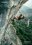 Wonderland 9b