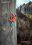 Circus Maximus (portrait)