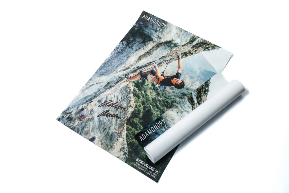 Wonderland 9b Signed Poster - Size: A2 - 42 x 59.4 cm (16.5 x 23.4 in)