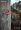 Circus Maximus (portrait)