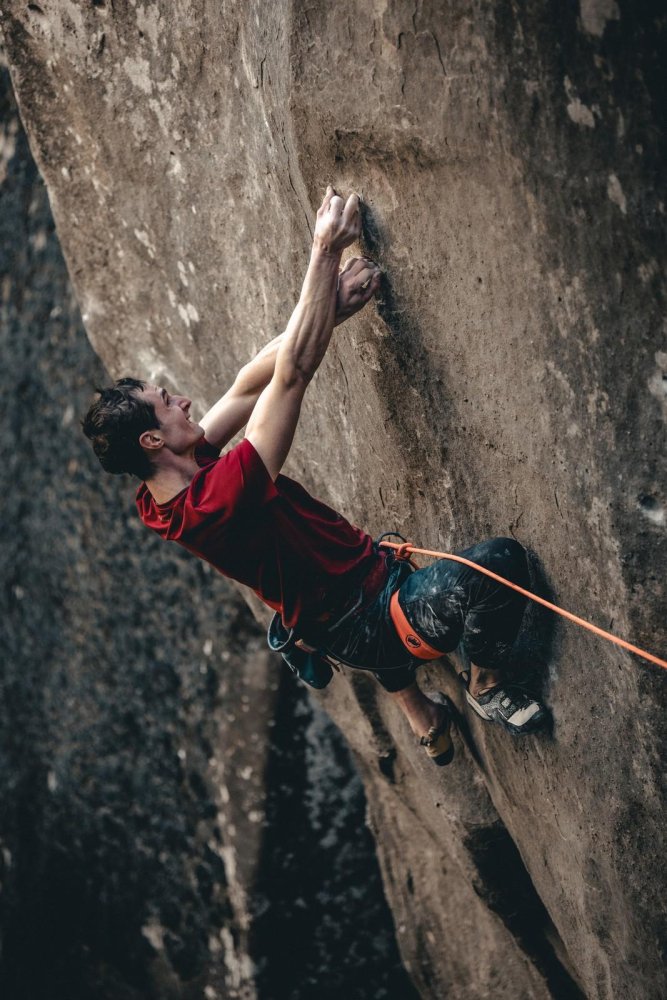 Black Crimper Brush Hand-Signed by Adam Ondra - Color: Black
