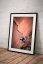 Hot Pork Sundae - Print format: Medium (800 mm longer side), Print with signature: Without Signature, Download format: None